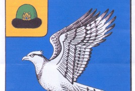 Опубликовали видео с гимном Скопина в "Рутуб" и на сайте: skopinglass.ru.